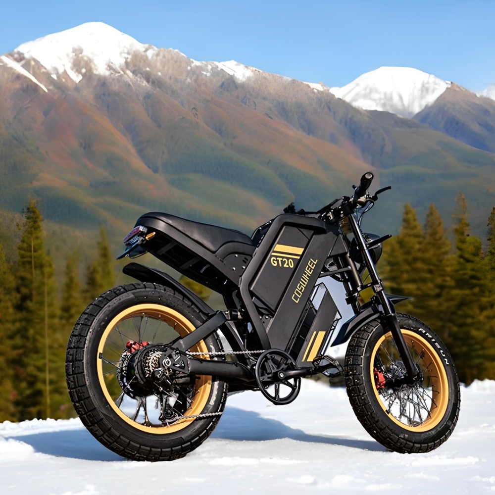 Motorcycle Gear Ratings - Coswheel Electric bike for Adult 2000W